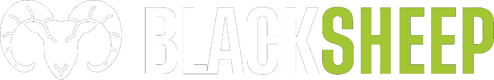 BlackSheep Ventures